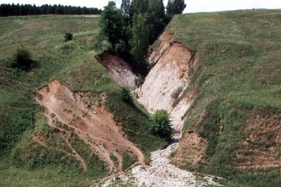 Що таке вимоїна