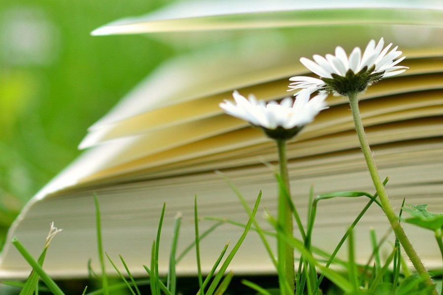 Що таке зелена книга україни